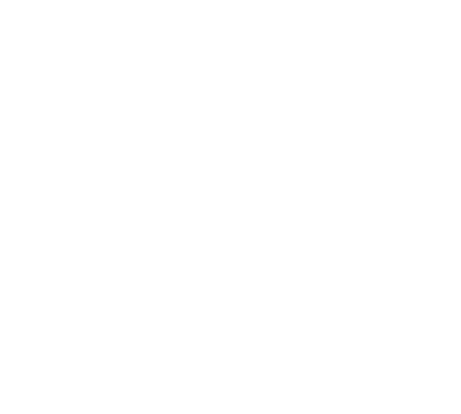 GlobeMind Software Distillery logo