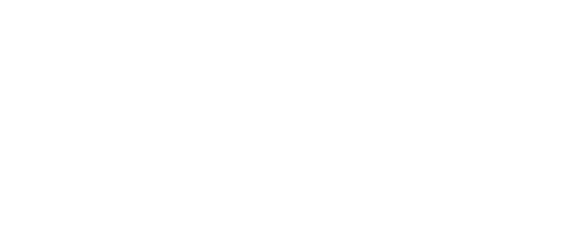GlobeMind Software Distillery logo